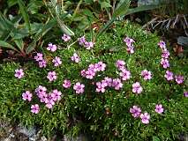 468: 2_DSCF0806