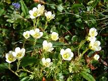 470: 2_DSCF0811