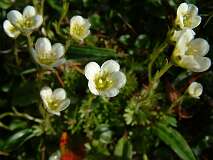 471: 2_DSCF0814
