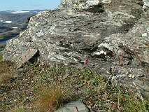 477: 2_DSCF0823