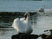 493: 3_DSCF0012