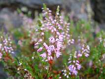 494: 3_DSCF0013