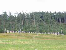 14: img_0773