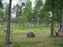 19: img_0778