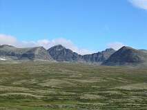 2: img_0802