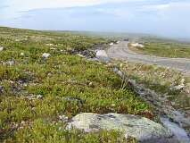 3: img_0803