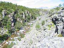 41: img_0841