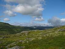 45: img_0950