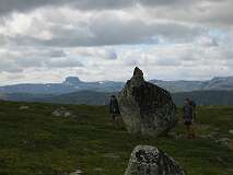 48: img_0953