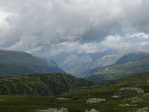 49: img_0954