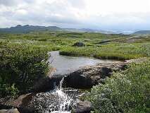 57: img_0962