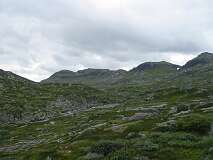 61: img_0966