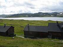 76: img_0981