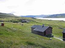 77: img_0982