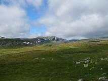 78: img_0983