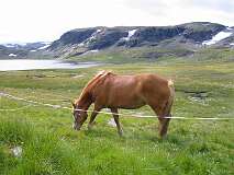 80: img_0985