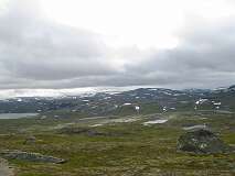 83: img_0988