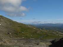 17: img_1017
