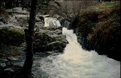 65: SpanViki_72
