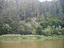 51: PICT0103