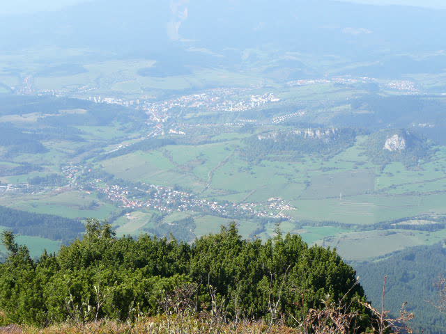 3: P1010975
