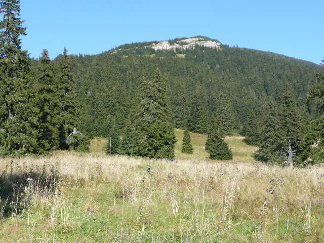 4: P1010978