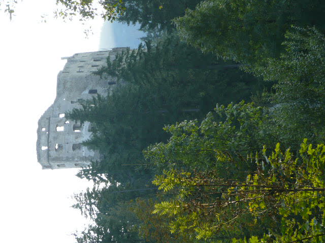 5: P1010986