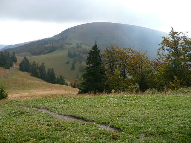 7: P1020022