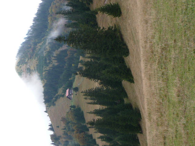 8: P1020023