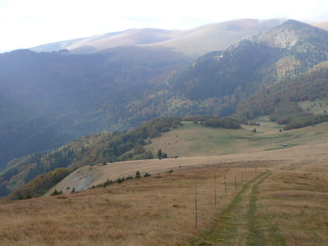 9: P1020027