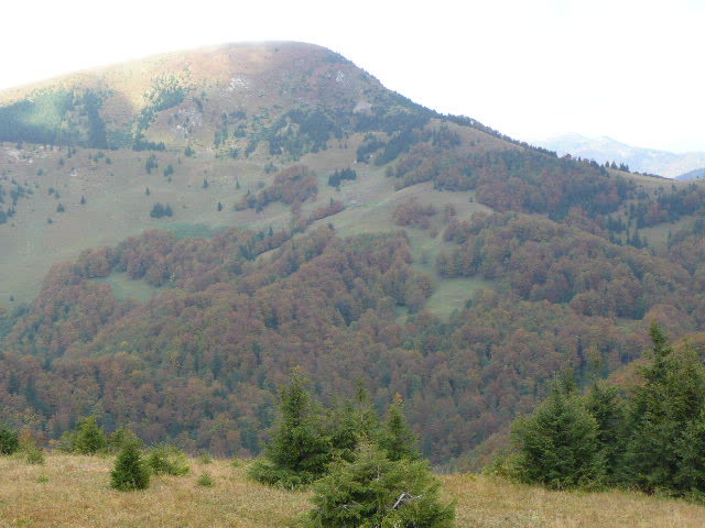 10: P1020028