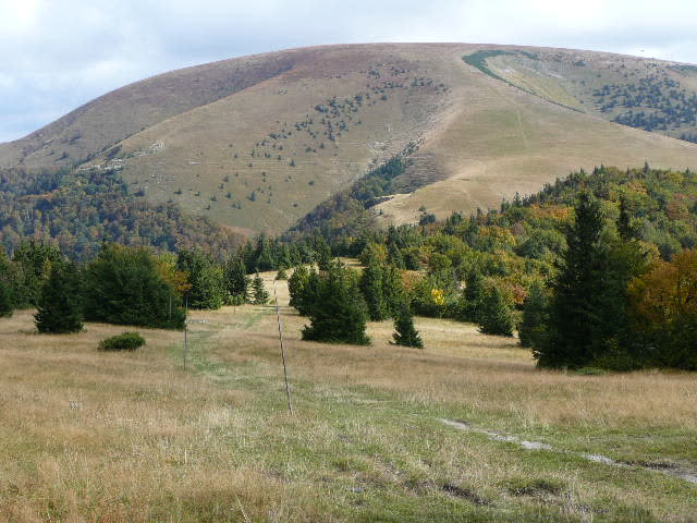 11: P1020029