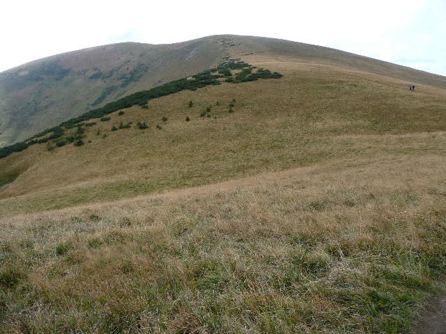 12: P1020031