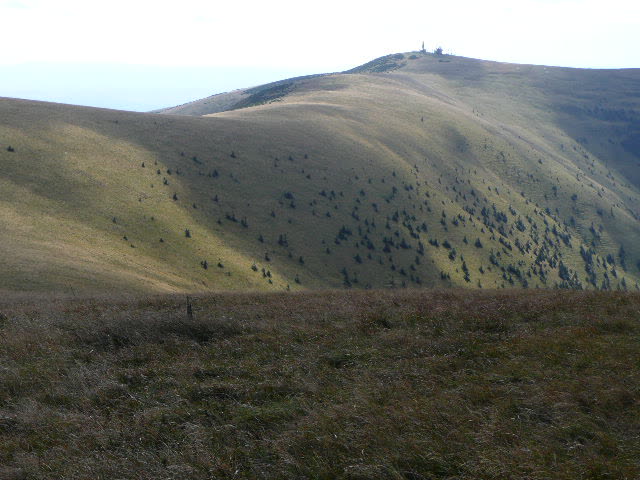 13: P1020035