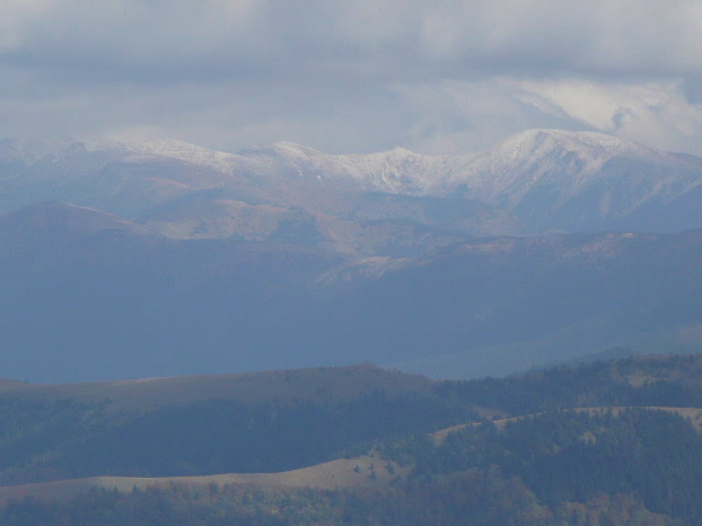 15: P1020047