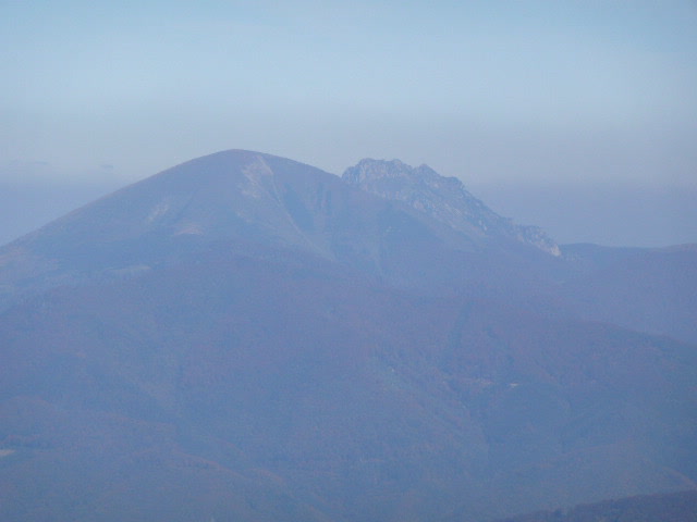 20: P1020178