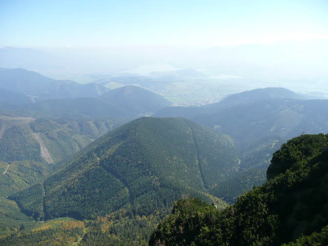 1: P1010958