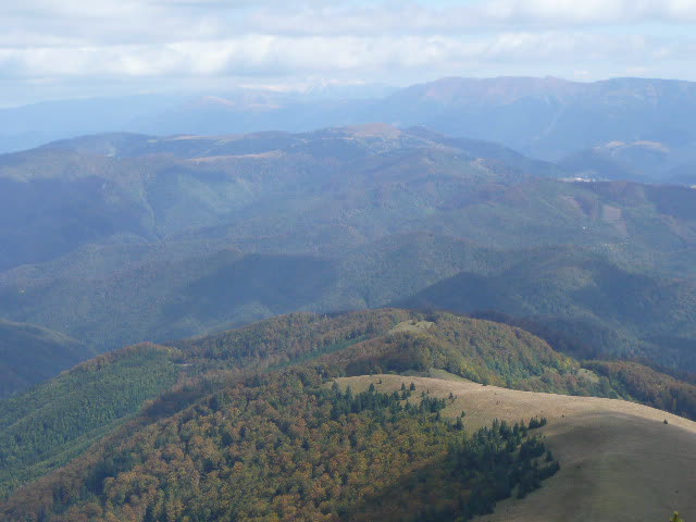 14: P1020041