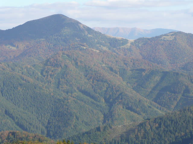 19: P1020131