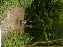 15: P1060819