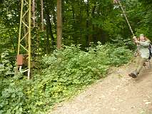 20: P1060831