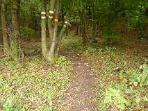 45: P1060877