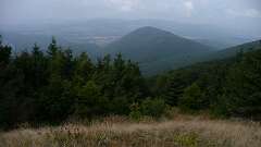 58: P1060922