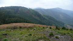 59: P1060924