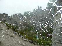 96: P1060986