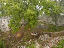 99: P1060992