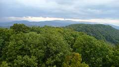141: P1070068