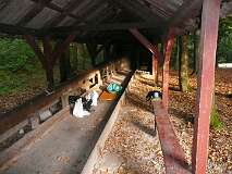154: P1070090