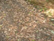 164: P1070103