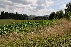 18: DSC_0176